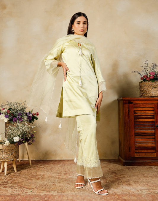 Zoya Organza suit set