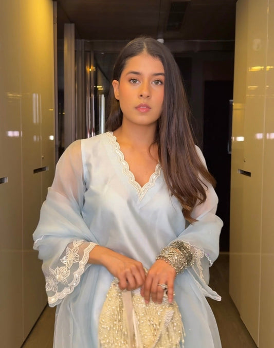 Bandhan Organza sleeve suit set