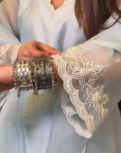 Bandhan Organza sleeve suit set