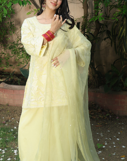 Gulzar Bell Sleeve
